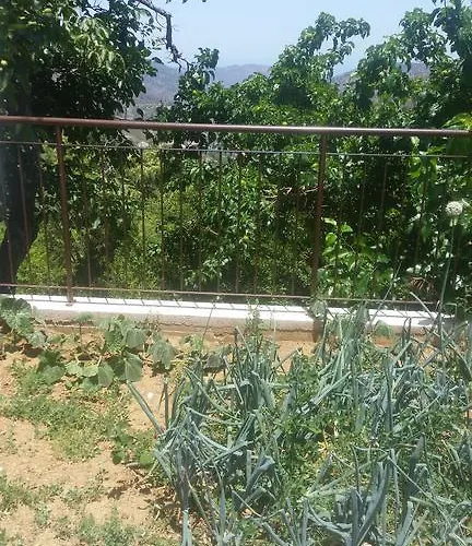 Spiti Tis Irinis * Pedhoulas